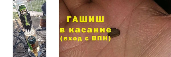 индика Баксан