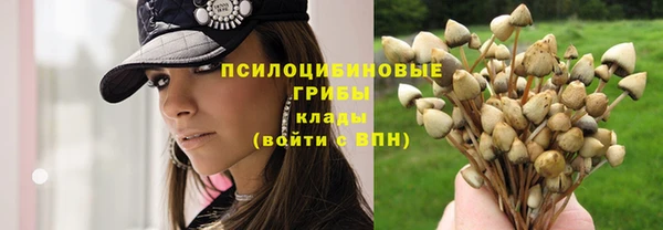 индика Баксан