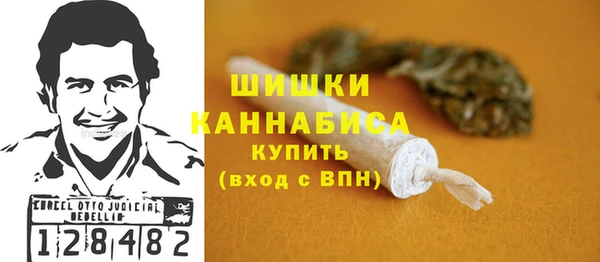индика Баксан