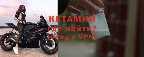 ПСИЛОЦИБИНОВЫЕ ГРИБЫ Сосновый Бор