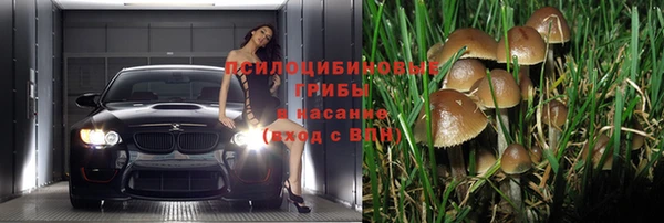 меф Арсеньев