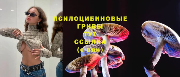 хмурый Балахна