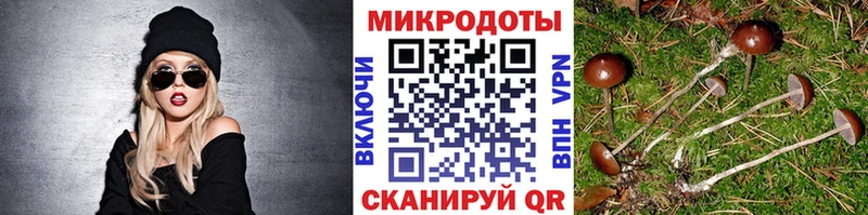 где купить наркоту  Ликино-Дулёво  Галлюциногенные грибы Psilocybe 