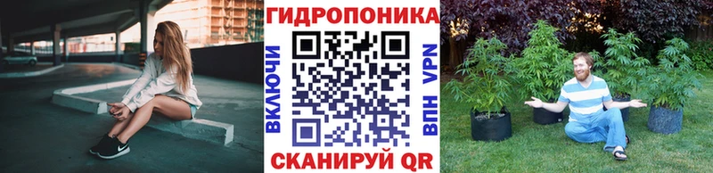 где можно купить наркотик  Ликино-Дулёво  Каннабис сатива 